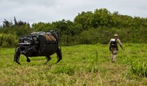 The Legged Squad Support System (LS3) on patrol with a Marine during the Advanced Warfighting Experiment (AWE), part of RIMPAC 2014. 