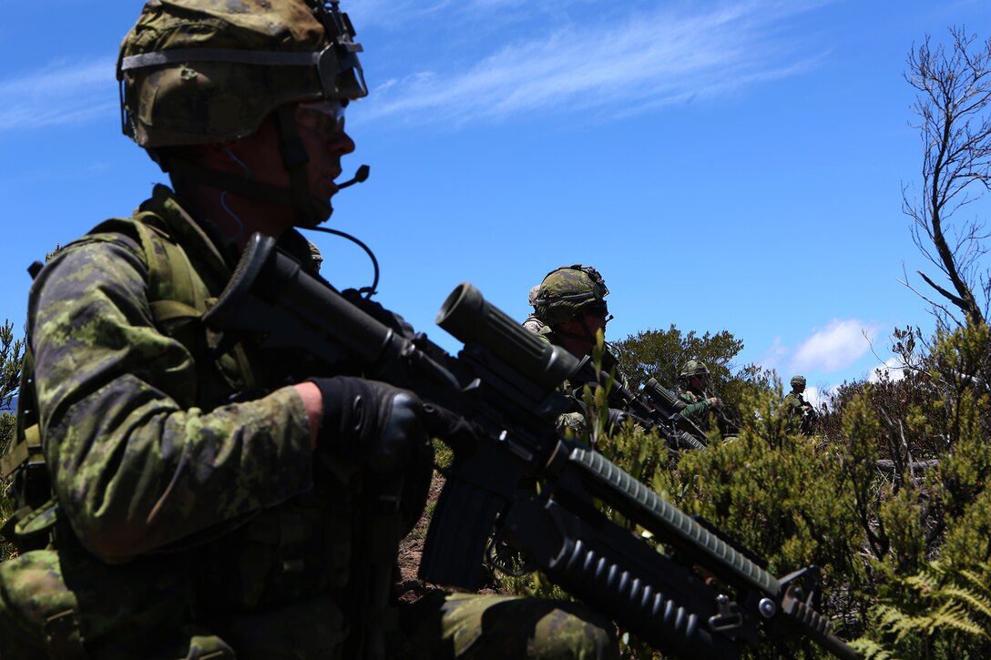 POHAKULOA TRAINING AREA, Hawaii - A squad with Princess Patricia's Canadian Light Infantry survey the area for enemies during a scenario and live fire shoot, as part of Rim of the Pacific (RIMPAC) Exercise 2014, July 18. Twenty-two nations, more than 40 ships and submarines, about 200 aircraft and 25,000 personnel are participating in RIMPAC from June 26 to Aug. 1 in and around the Hawaiian Islands and Southern California. The world's largest international maritime exercise, RIMPAC provides a unique training opportunity that helps participants foster and sustain the cooperative relationships that are critical to ensuring the safety of sea lanes and security on the world's oceans. RIMPAC 2014 is the 24th exercise in the series that began in 1971. (U.S. Marine Corps photo by Cpl. Erik Estrada/Released)