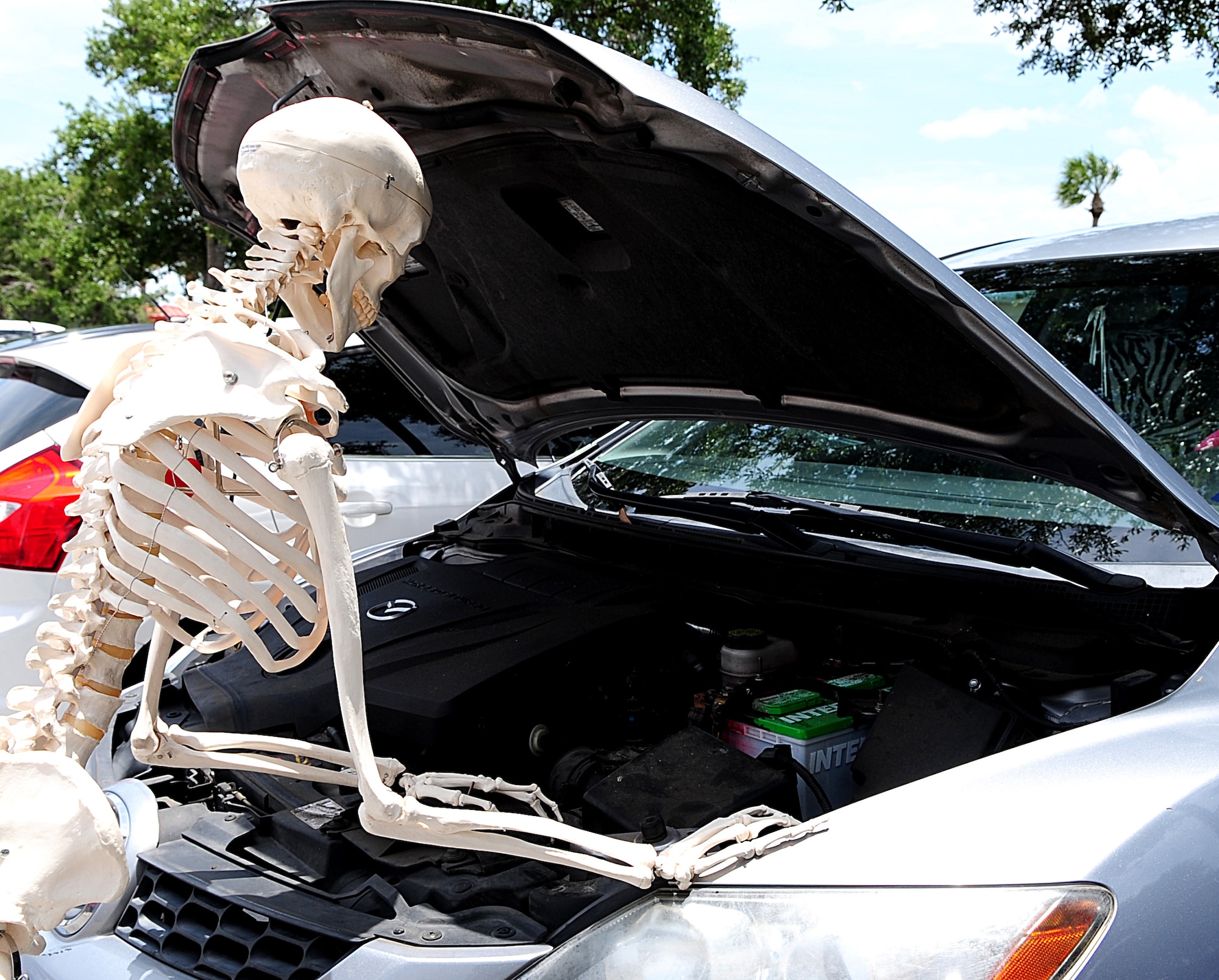 MacBones, 6th Air Mobility Wing safety skeleton, preforms a routine maintenance check-up on his car at MacDill Air Force Base, Fla., June 12, 2014. Making sure your vehicle has been serviced and is ready is one of the first things you should do during the planning phase of a trip. (U.S. Air Force photo by Staff Sgt. Brittany Liddon/Released)