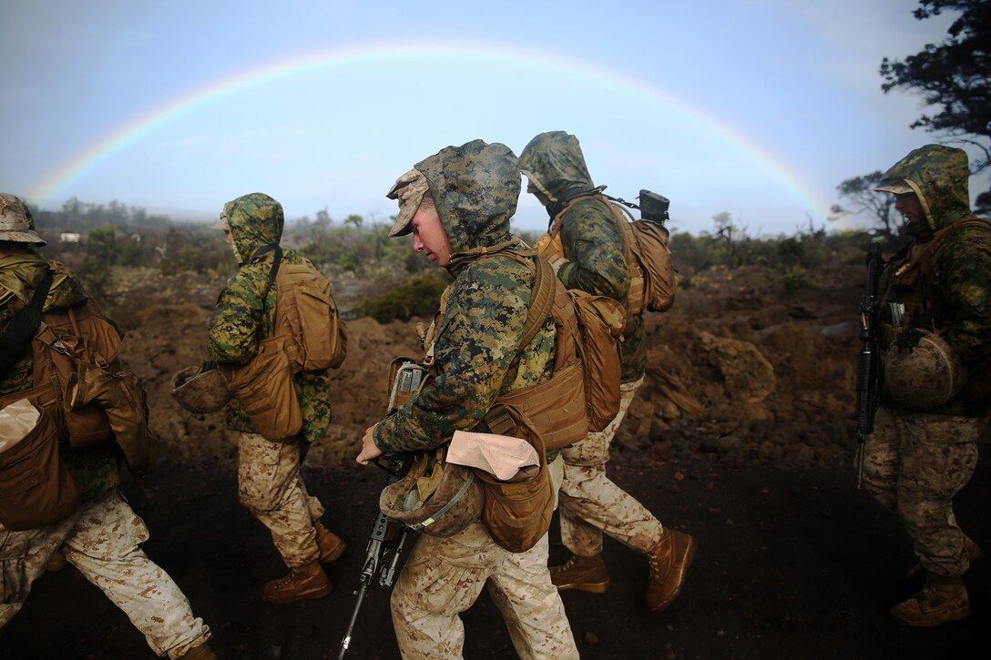 POHAKULOA TRAINING AREA, Hawaii - Marines with Headquarters Battery, 1st Battalion, 12th Marine Regiment, walk down range road to Range 5C to conduct a grenade range exercise at Pohakuloa Training area during Rim of the Pacific (RIMPAC) Exercise 2014. The Marines are a part of Company Landing Team 2, which include Indonesian marines, Australian and Tongan soldiers. Twenty-two nations, more than 40 ships and submarines, about 200 aircraft and 25,000 personnel are participating in RIMPAC from June 26 to Aug. 1 in and around the Hawaiian Islands and Southern California. The world's largest international maritime exercise, RIMPAC provides a unique training opportunity that helps participants foster and sustain the cooperative relationships that are critical to ensuring the safety of sea lanes and security on the world's oceans. RIMPAC 2014 is the 24th exercise in the series that began in 1971. (Photo by Sgt. Sarah Dietz/Released)