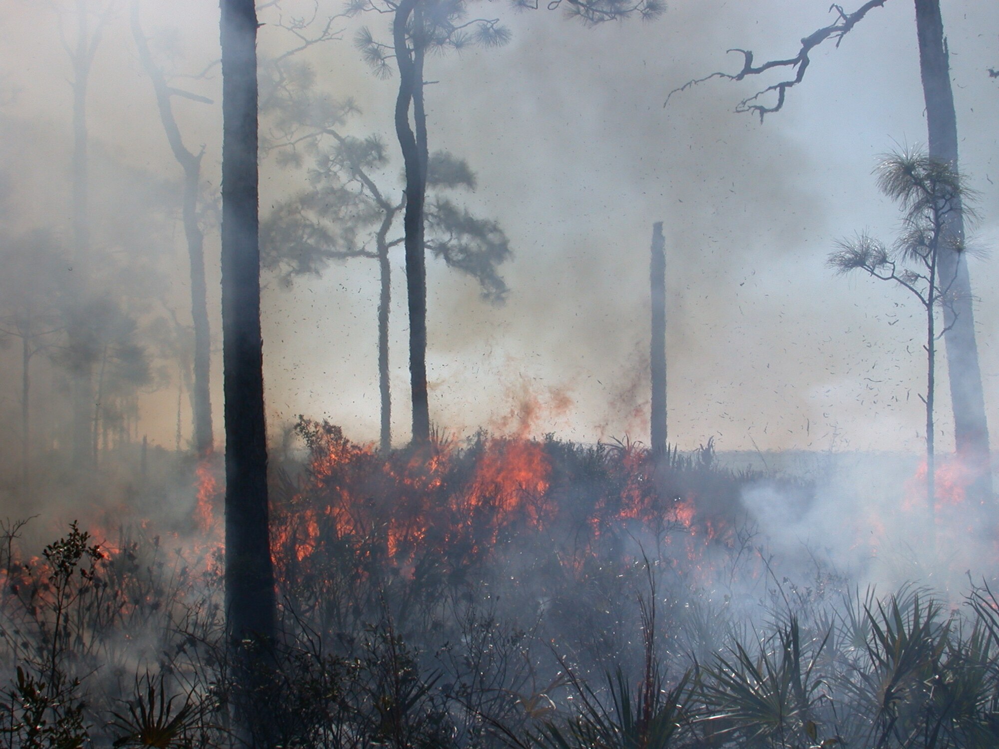 Eglin Air Force Base, Fla., undergoes a prescribed burn to reduce fuels behind a private subdivision that borders the base. Such prescribed burns also help sustain unique old-growth longleaf pine forests which depend on frequent fires to reduce competition and encroachment from other species. These types of controlled burns are implemented by the Air Force Civil Engineer Center’s Wildland Fire Center to help installations mitigate risk. (Courtesy Photo)