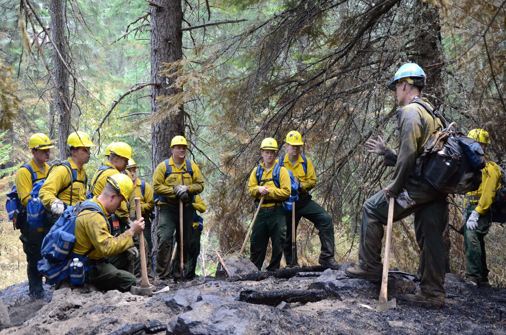 Guard members with the 1-303rd Cavalry Regiment review mopping techniques before continuing to clear an area recently affected by the Chiwaukum Complex fires near Leavenworth, Wash., July 23, 2014. Mopping is a technique used to clear areas of hot spots, smoldering embers that could potentially reignite fires by conducting land sweeps. 