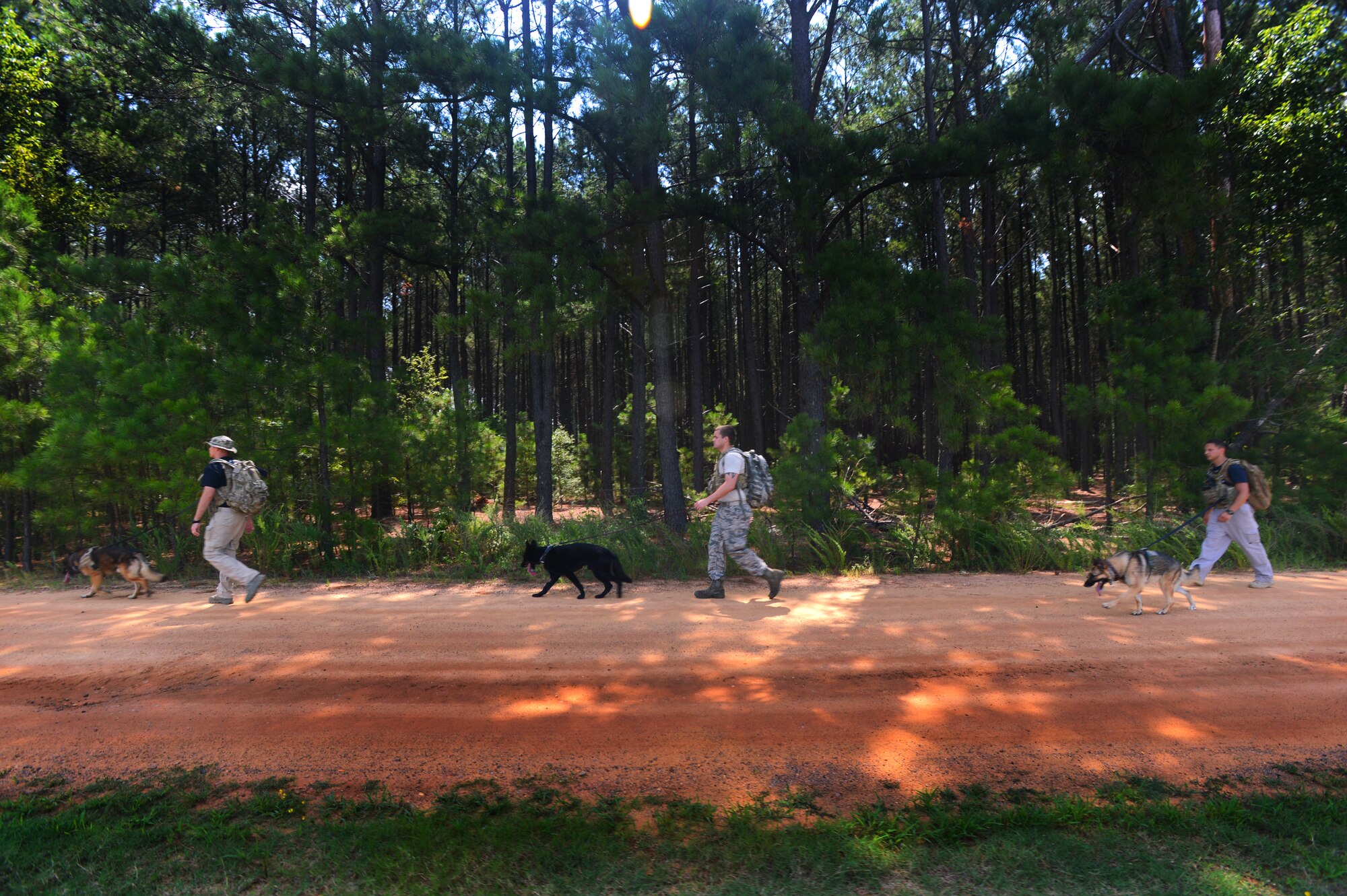 [From left] U.S. Air Force Senior Airmen Robert Coughlin, Justin Deese and Staff Sgt. David Mussio, 20th Security Forces Squadron military working dog handlers, follow their K-9s during training at Shaw Air Force Base, S.C., July 24, 2014. Approximately once a month during a hot day, the three take their dogs, Sati, Marky and Cigan, on a five- to 10-mile walk to acclimate the dogs to the high temperatures they will experience while deployed. (U.S. Air Force photo by Airman 1st Class Jensen Stidham/Released)
