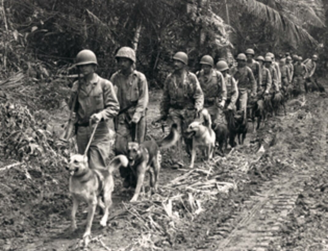 As far back as the Civil War, stories have been written of heroic dogs that have served alongside our service members in our nation’s history. Dogs have played vital roles as mascots, guards, trackers and even mine detectors - saving thousands of human lives. 