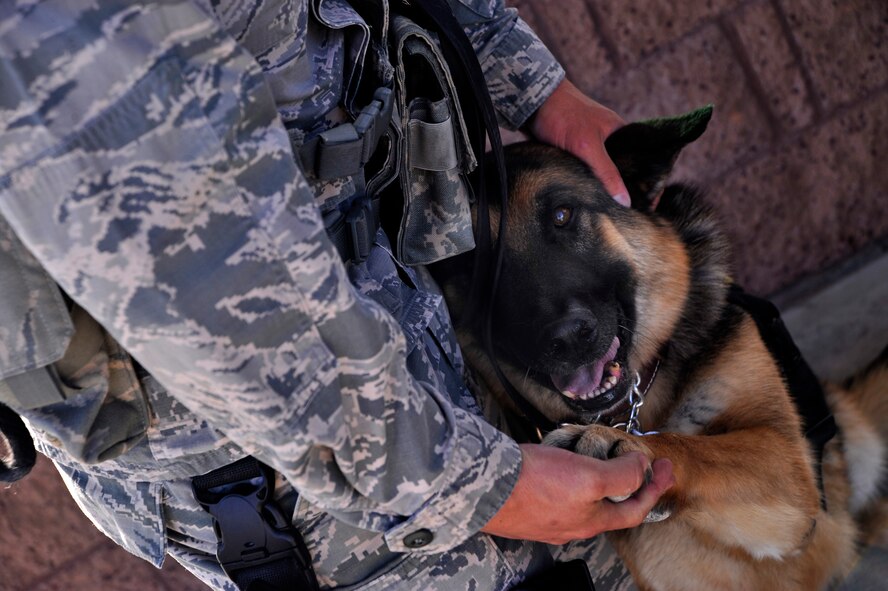 Staff Sgt. Joseph Nault, 799th Security Forces Squadron Military Working Dog trainer pets MWD Dak after searching vehicles for contraband July 18, 2014, at Creech Air Force Base, Nev. Handlers play with their dogs throughout the day to praise them for a job well done as well as to build a bond between each other. (U.S. Air Force photo by/Airman 1st Class Christian Clausen/Released)