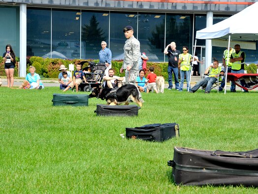 Staff Sgt. Justin Leon Guerrero and his military working dog Oxigen, perform a demonstration during the Canines vs. Cancer event in Post Falls, Idaho, July 19, 2014. The 92nd Security Forces Squadron MWD section provided demonstrations and participated in the opening ceremony. The Canines vs. Cancer mascot, Lucky, was named after a Team Fairchild MWD. (U.S. Air Force photo by Senior Airman Mary O'Dell/Released)