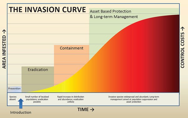 The Invasion Curve illustrates that prevention is the most efficient and least costly method of combating invasive species. As a non-native species becomes more established over time, the effort and associated costs of addressing it escalate exponentially. (From the USDA Forest Service 2005 Invasive Plant Environmental Impact Statement)