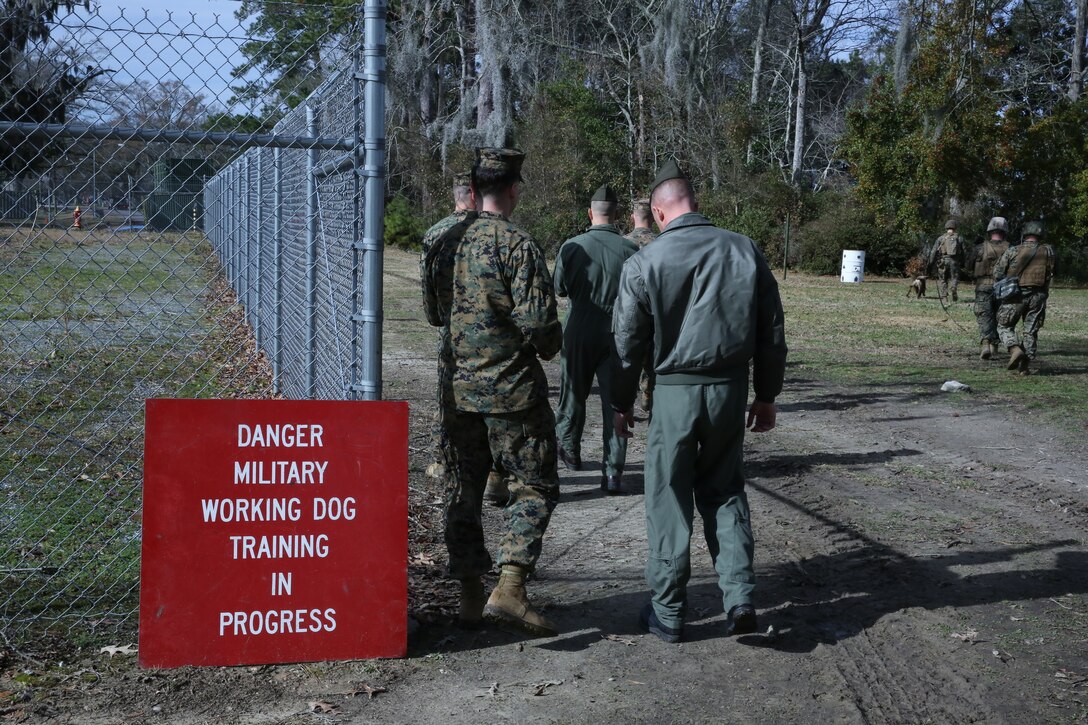 Visitors watch military police from 2nd Law Enforcement Battalion conduct a demonstration with their military working dogs at the II Marine Headquarters Group Enabler Battalion Compatibility Expo on January 15. The military working dogs are trained to search out human targets for their handlers.