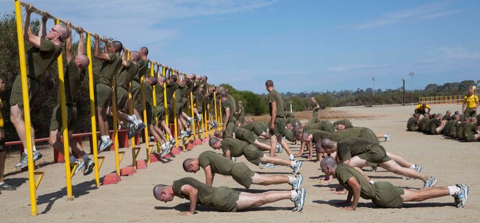 Recruits of Fox Company perform pull-ups during a physical fitness session at Marine Corps Recruit Depot San Diego, July 28. Once recruits finished their pull-ups, they began executing push-ups until the rest of the platoon was finished.   