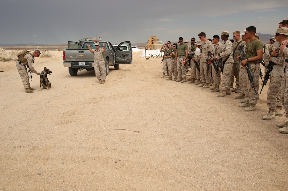 Sgt. Daniel Andrzejewski, K9 training chief, Provost Marshal's Office, explains the area where Gabi, military working dog, will search during a class on checkpoint searches with military working dogs for the Engineer Company of Marine Wing Support Squadron 374 at Camp Wilson, July 25, 2014.