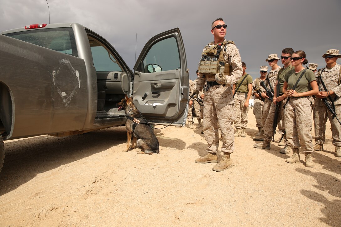 Cpl. Paul Kelley, military working dog handler, Provost Marshal’s Office, explains the next step after a working dog alerts the handler on a find during a class on checkpoint searches with military working dogs for the Engineer Company of Marine Wing Support Squadron 374 at Camp Wilson, July 25, 2014.


