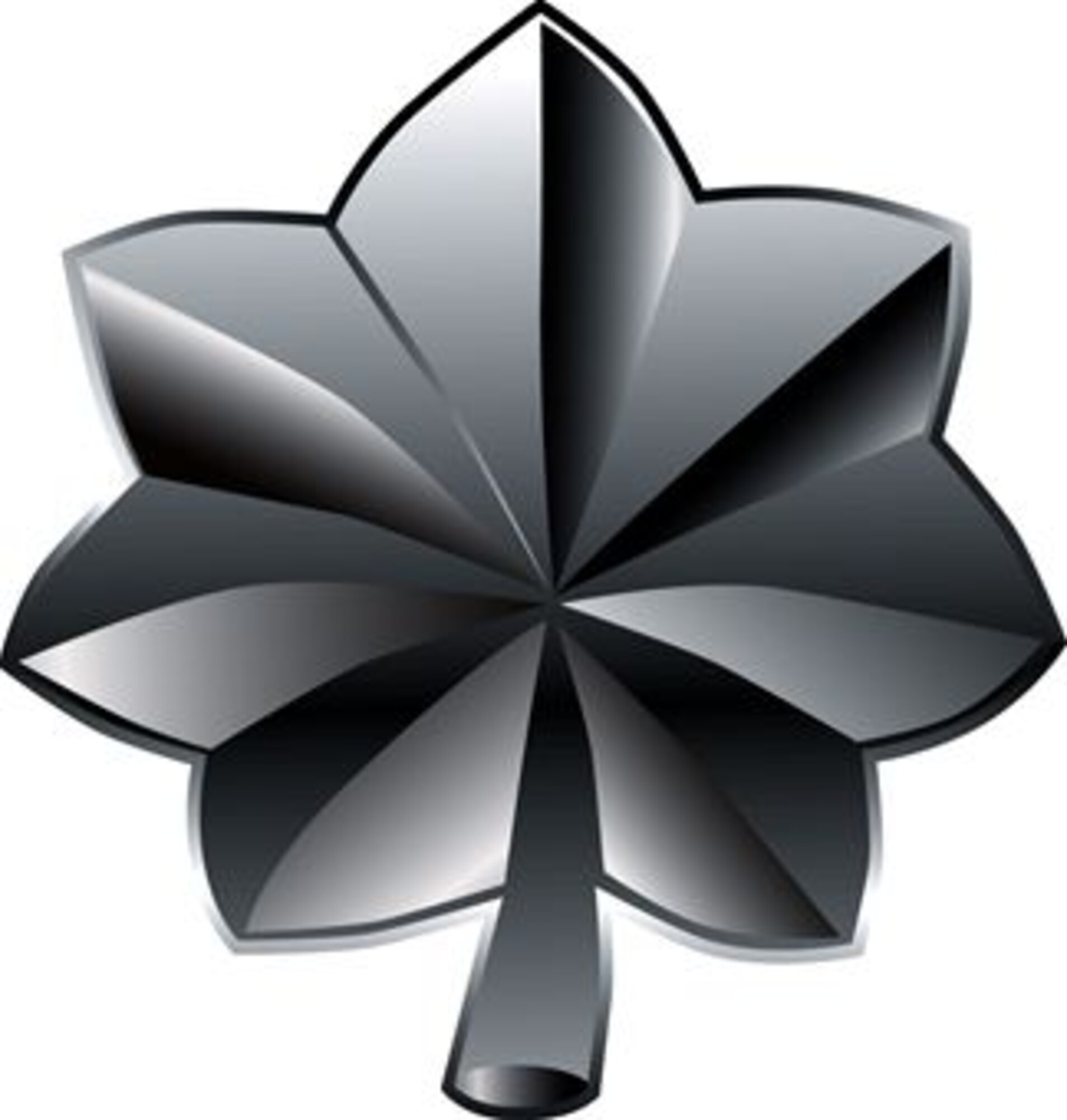 Lieutenant colonel, O-5