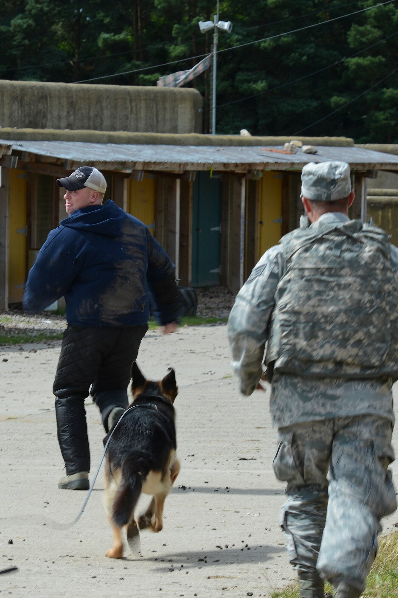 A simulated gate-runner is being chased by Ayron, 48th Security Forces Squadron military working dog, in a vehicle stop scenario during force-on-force training at the Stanford Training Area in Norfolk, England, July 29, 2014. (U.S. Air Force photo by Airman 1st Class Trevor T. McBride)