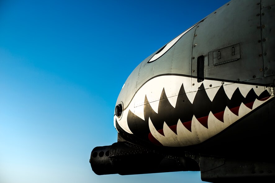 An A-10C Thunderbolt II sits prior to takeoff at Moody Air Force Base, Ga., July 29, 2014. The Air Force began flying the A-10 in October 1975, and the fleet was later upgraded to the A-10C variant in September 2007. (U.S. Air Force photo by Airman 1st Class Ryan Callaghan/Released)