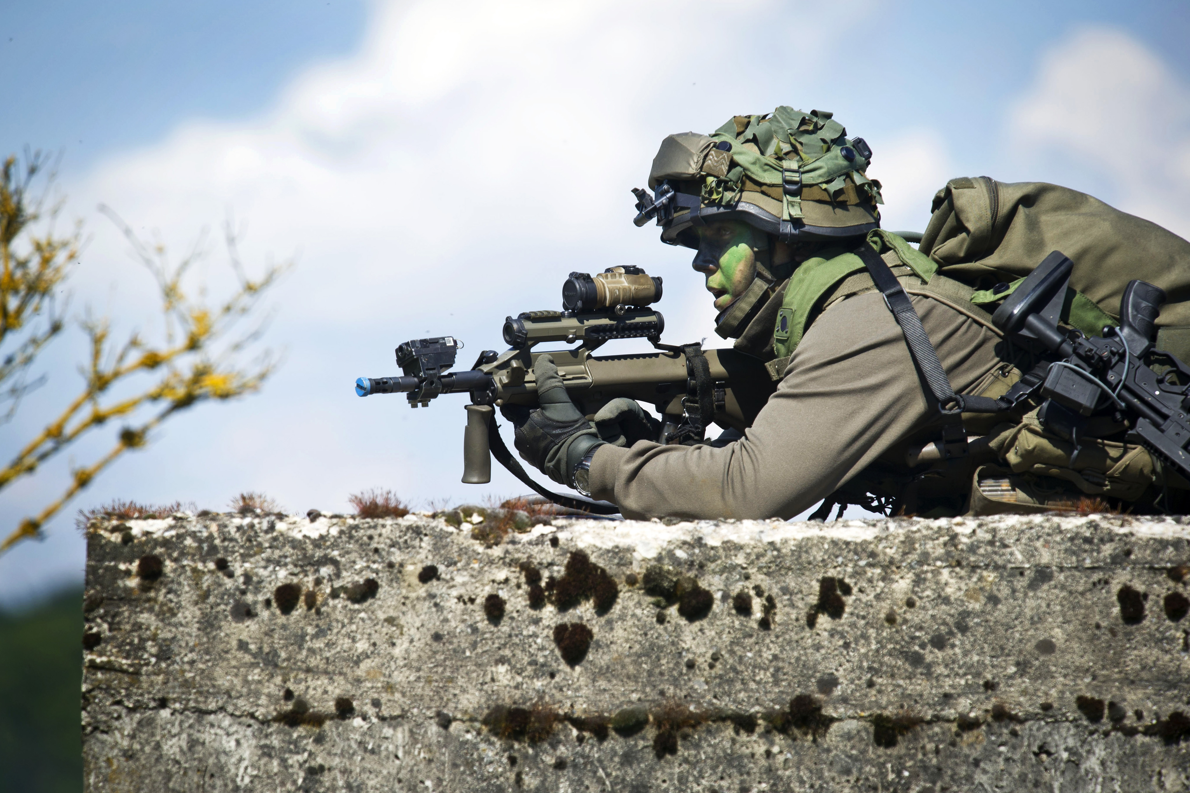 Soldier readiness essay