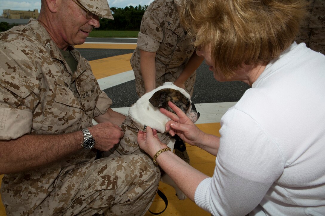 Ten-month-old Lance Cpl. Nellie B. Willful “stands at attention” June 2 on Camp Kinser during her promotion ceremony. Lance Cpl. Samantha J. Adair, rear, and Beth Nelson, right, pinned on Nellie’s rank insignia, as U.S. Navy Capt. Kevin J. Sweeney, left, held her leash. Nellie is the mascot of 3rd Marine Logistics Group, III Marine Expeditionary Force. Adair is a Plant City, Fla., native and supply administration and operations specialist with G-4, supply and logistics, 3rd MLG, III MEF. Beth Nelson is the spouse of Brig. Gen. Niel E. Nelson, the commanding general of 3rd MLG, III MEF. Sweeney is a Newport Beach, Calif., native, chaplain of 3rd MLG, III MEF, and Nellie’s caretaker. (U.S. Marine Corps photo by Cpl. Natalie M. Rostran/Released)
