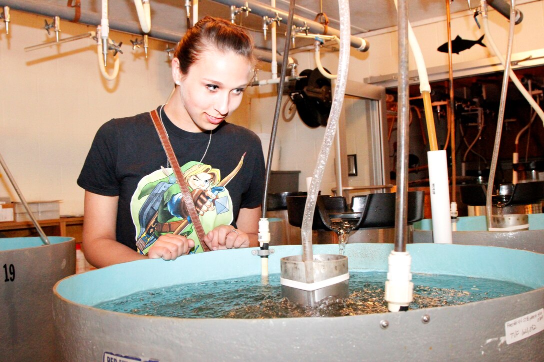 The Charleston District visited the construction class at Timberland High School to teach them the skills they would need when interviewing for jobs and being on the job site. Students later visited our St. Stephen Powerhouse and fish hatchery to learn more about the environmental work we do.