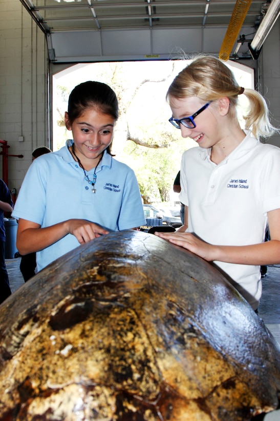 Students had a great time examining a sea turtle shell when they came to Folly Beach to learn about the renourishment project. Students learned about the engineering aspects as well as the environmental aspects of the project, such as protecting sea turtles.