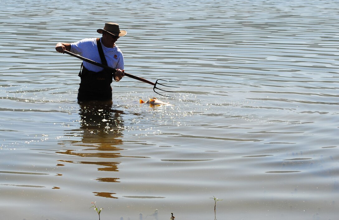 Mike Dillabough wades into Lake Mendocino Saturday to remove a dead carp from the lake. While there are currently no human health issues, lake-goers and their pets should not eat or handle sick-looking, dead or dying fish and should not swim, fish or recreate near sick-looking, dead or dying fish. The Corps is also coordinating with the Mendocino County Health Department.
