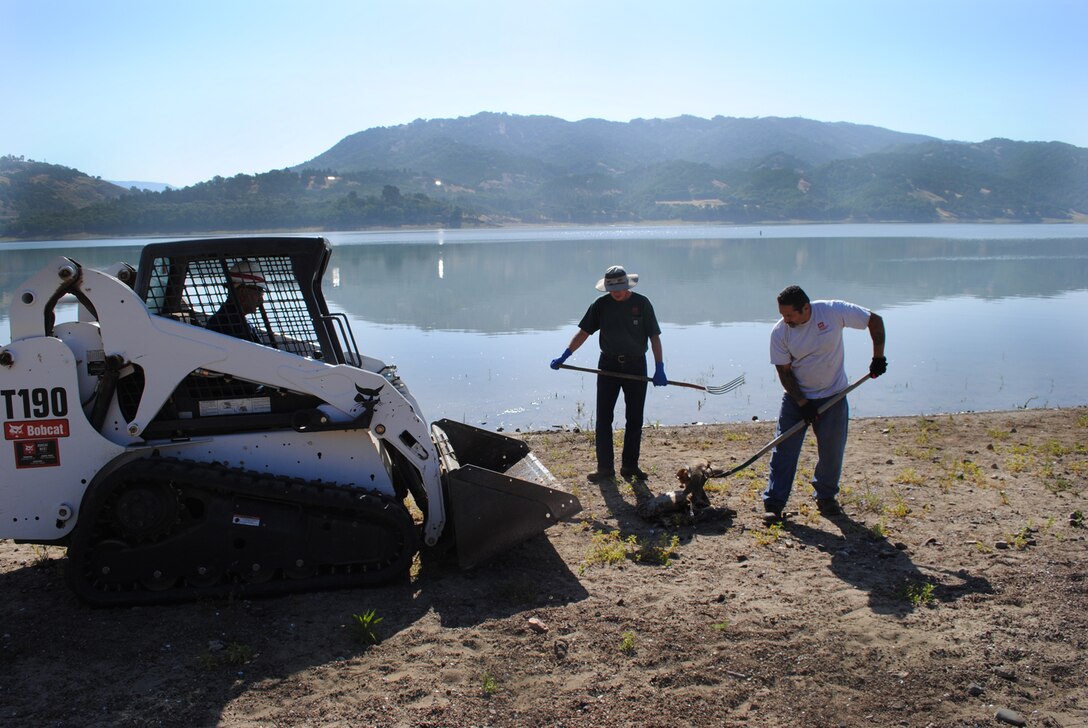 John Dane (left) and Miguel Neito load dead carp into the lbucket of the "Bobcat" oader driven by Julian Navarro at Lake Mendocino Saturday. Two clean-up crews removed fish that have died during the past week.