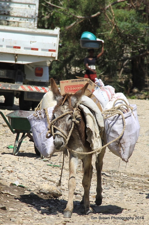 A donkey is typical transportation for farmers carrying goods to market in Haiti. Poorly constructed roads make the journey long and tedious, and oftentimes goods spoil before they reach the market.