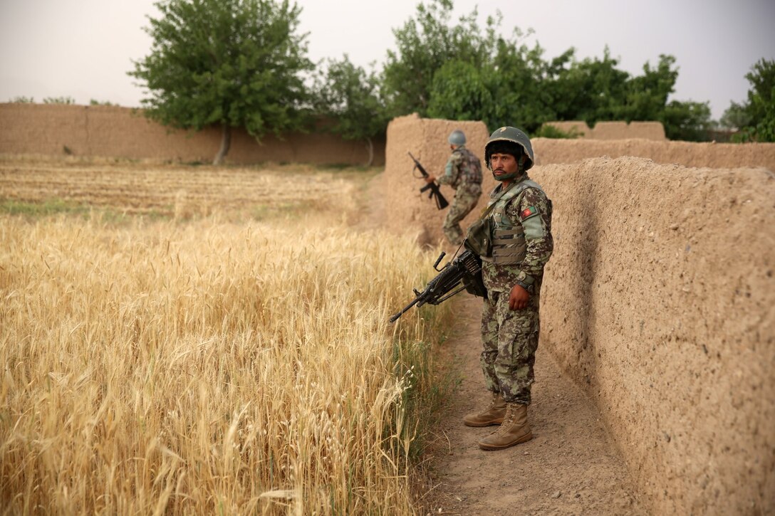Afghan National Army soldiers conduct a partnered patrol with Marines from Bravo Company, 1st Battalion, 7th Marine Regiment, during a mission in Helmand province, Afghanistan, May 15, 2014. The company operated in Larr Village for two days to establish a presence and to disrupt enemy fighters. Throughout the mission the infantrymen conducted several patrols within the village and discovered hazardous materials which could be used to create improvised explosive devices.