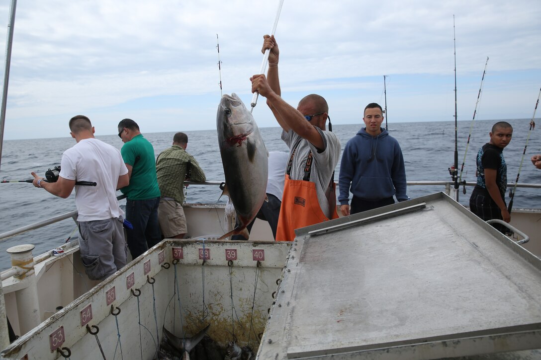 Kenny Levan uses a fishing hook to place a catch into the "keeper freezer" aboard the Carolina Princess during the Morehead City Military Appreciation Day May 31, 2014. Levan lives in Morehead City and is a deck hand for the Carolina Princess.
