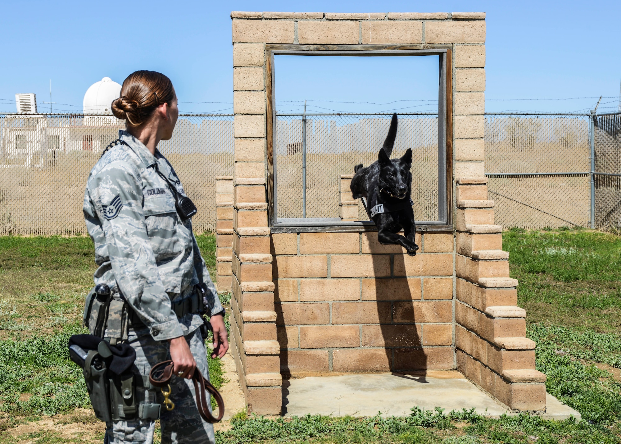 Staff Sgt. Kathryn Goldman, 412th Security Forces Squadron working dog handler, commands Rolf to jump through a “window” on the obedience course at Edwards AFB June 2. (U.S. Air Force photo by Rebecca Amber)
