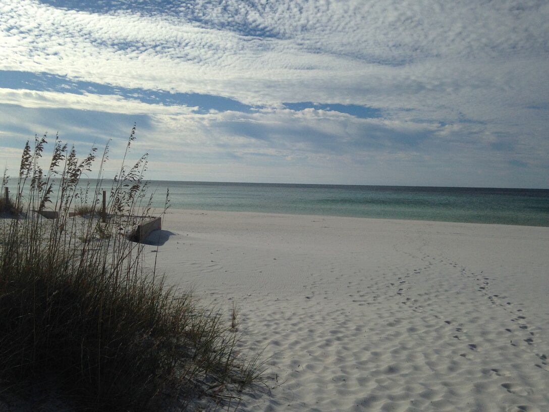 There are more than 127 miles of shoreline that surround Tyndall. Tyndall's beaches are prime nesting sites for many endangered shorebirds and sea turtles.  (U.S. Air Force photo by Senior Airman Christopher Reel) 