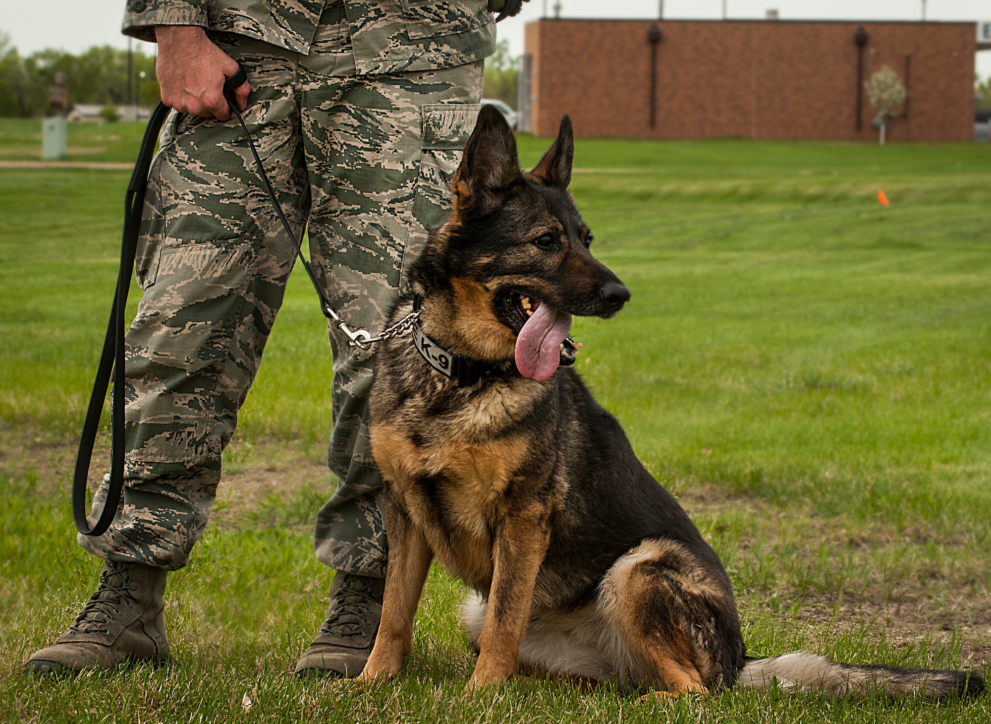 Military working dog Kitty, sits at her owners feet before a ruck march in honor of National Police Week at Minot Air Force Base, N.D., May 27, 2014. The event was attended by members of 5th Bomb Wing and 91st Missile Wing security forces, the office of special investigations, the MAFB K-9 unit and members of the National Guard and reserve. (U.S. Air Force photo/Senior Airman Stephanie Morris)