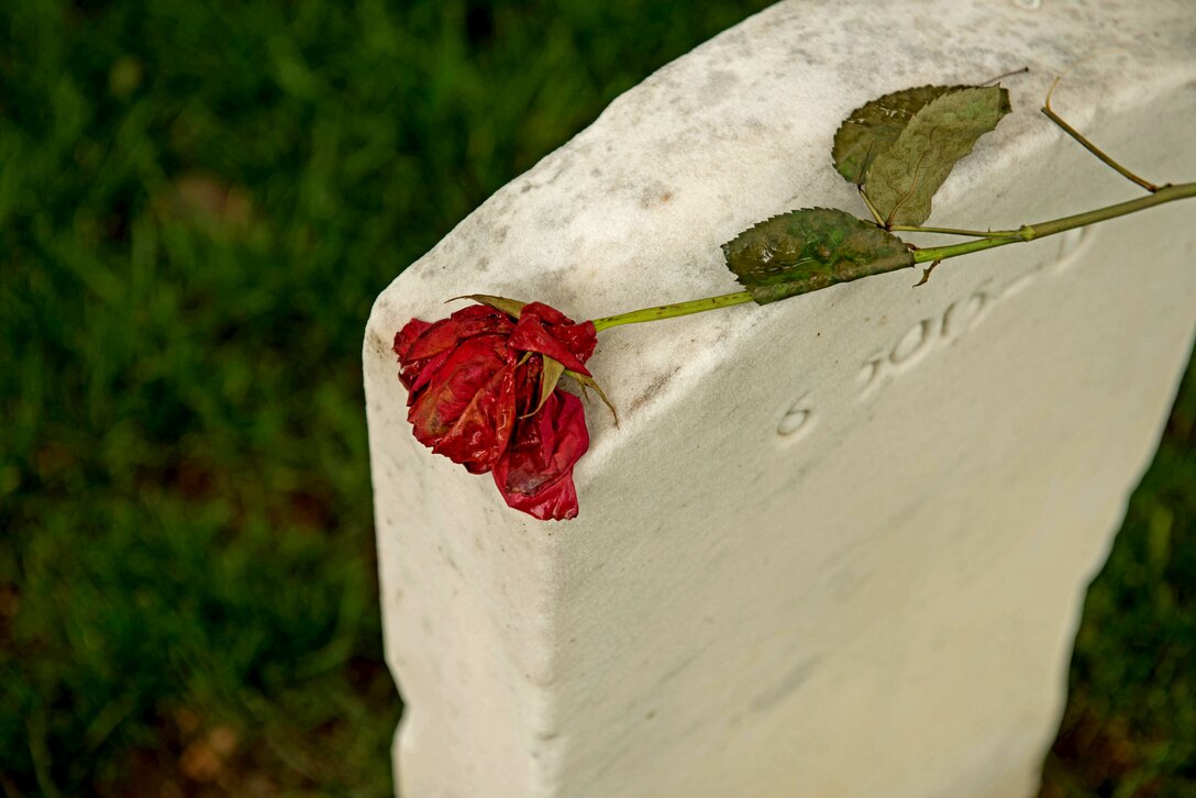 A rose lies on top of a tomb stone at the Arlington National Cemetery May 30, 2014. The cemetery commemorates its 150th anniversary June 15, 2014 and has a rich history of honoring those who served. 