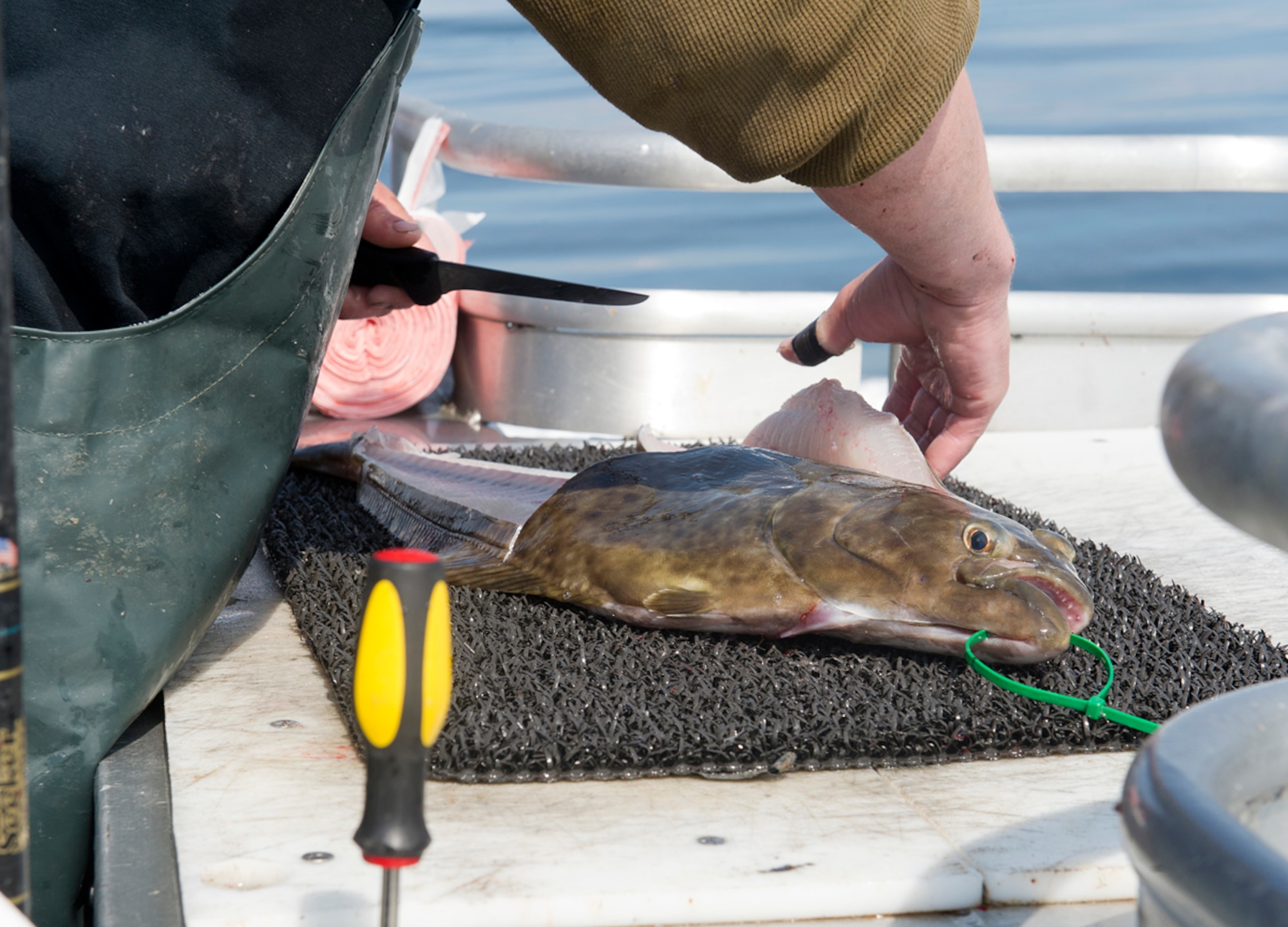 Tyler Steward, Sea Quest deckhand, fillets a halibut during the Annual Armed Services Combat Fishing Tournament in Seward, Alaska, May 22, 2014. The tournament saw approximately 200 active-duty military members participate and fish caught ranged from halibut to rockfish. (U.S. Air Force photo/Staff Sgt. Zachary Wolf)