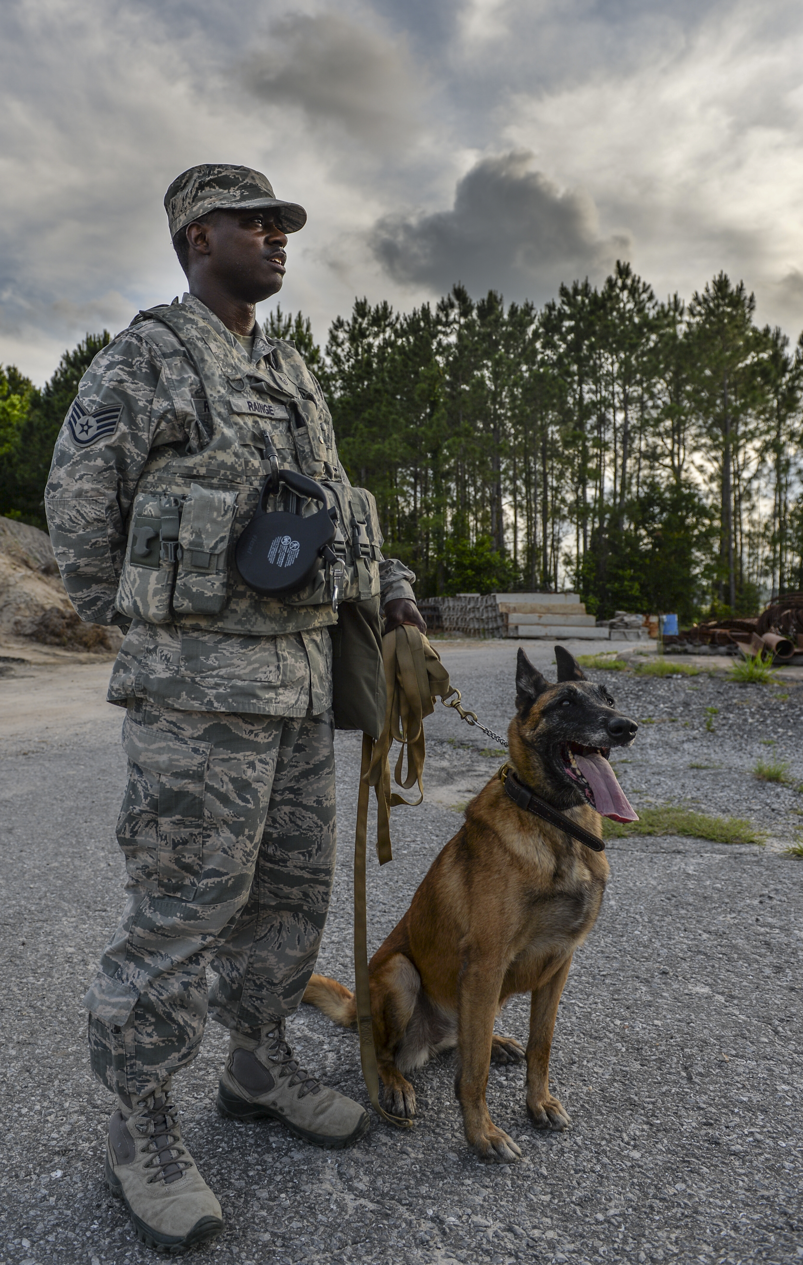Joint best sale forces k9