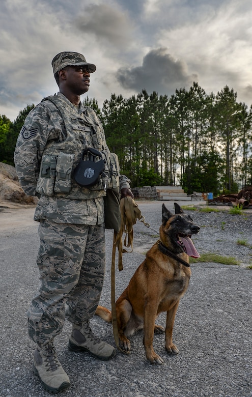 Staff Sgt. Corey Rainge, 1st Special Operations Security Forces Squadron military working dog handler and his dog Cora, stand together on Hurlburt Field, Fla., May 26, 2014. There are more than 1300 dog handler teams in the U.S. military. (U.S. Air Force photo/Senior Airman Christopher Callaway) 