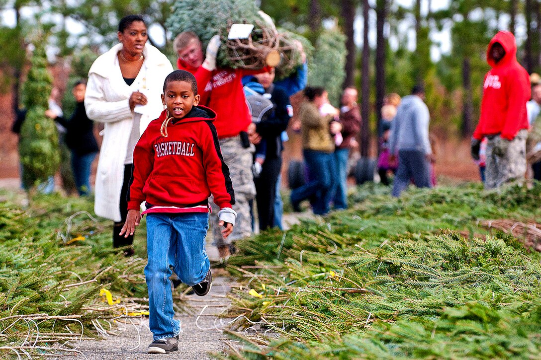 A boy leads his family toward their car after they picked out a free tree at a Trees for Troops event on Fort Bragg, N.C., Dec. 10, 2011. 
