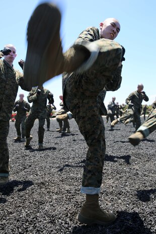 Recruit Albert Duong, Platoon 1062, Delta Company, 1st Recruit Training Battalion, performs a round kick aboard Marine Corps Recruit Depot San Diego May 30. Duong said the round kick was his favorite move learned from the Marine Corps Martial Arts Program.
