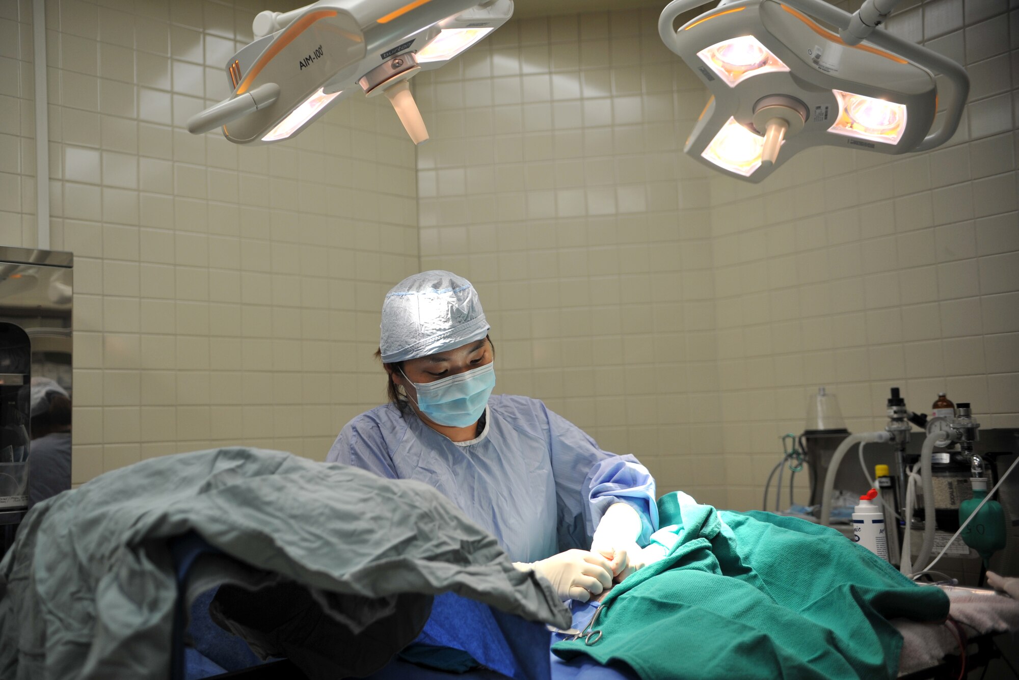 Dr. Kyongmi Kim, 106th Medical Detachment veterinarian, sutures an incision on Thor, a shih tzu, during minor surgery at the Veterinary Treatment Facility on Osan Air Base, Republic of Korea, June 3, 2014. Kim has been a veterinarian for seven years. (U.S. Air Force photo/Airman 1st Class Ashley J. Thum)