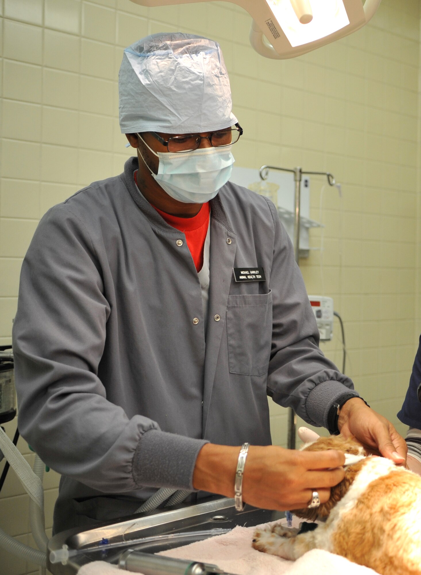 Michael Barkley, 106th Medical Detachment animal health technician, prepares Thor, a shih tzu, for minor surgery at the Veterinary Treatment Facility on Osan Air Base, Republic of Korea, June 3, 2014. Osan’s VTF provides wellness exams, spaying and neutering, laboratory tests and other services. (U.S. Air Force photo/Airman 1st Class Ashley J. Thum)