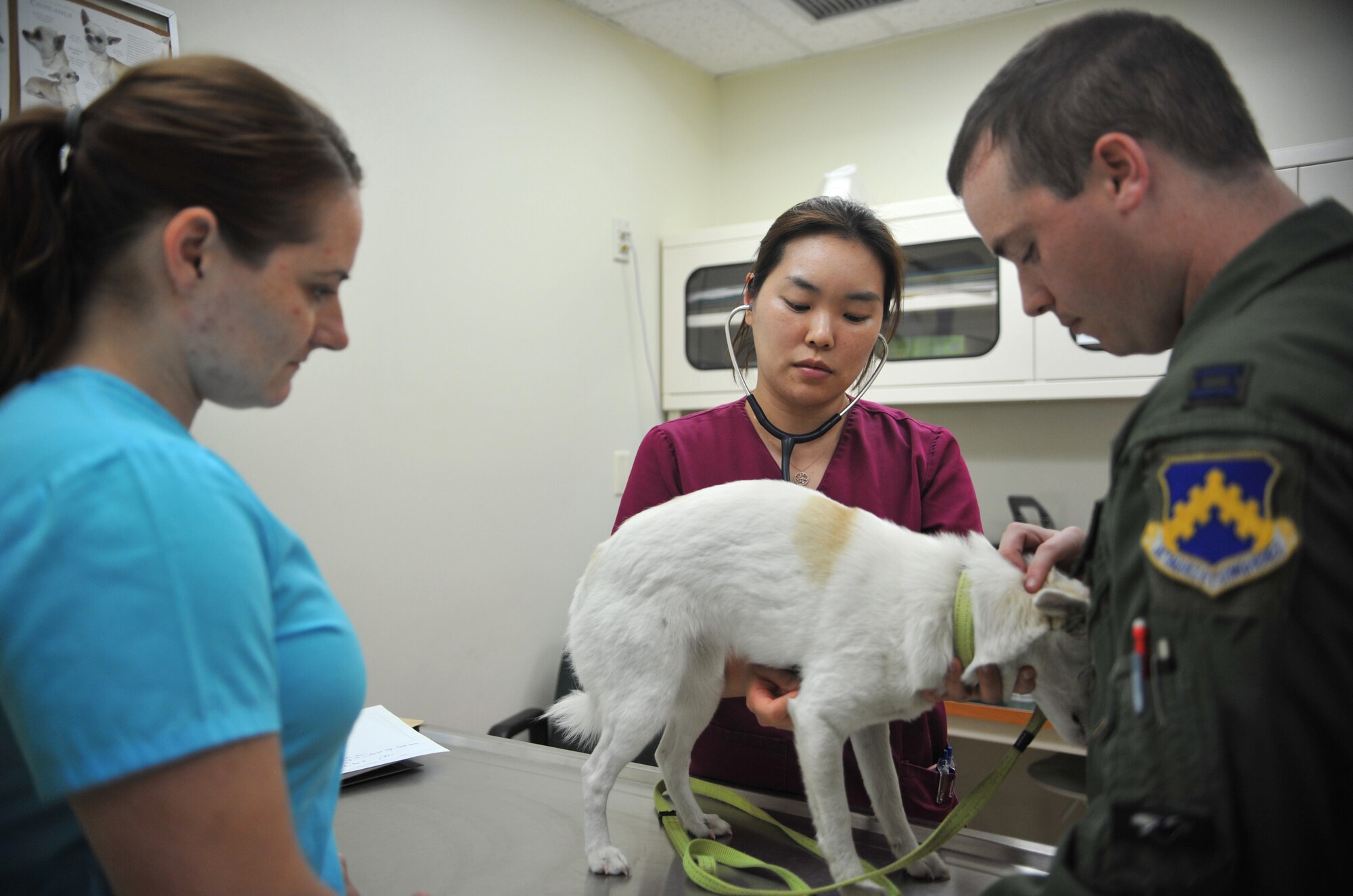 Dr. Kyongmi Kim, 106th Medical Detachment veterinarian, listens to the heartbeat of J.D., a jindo mix, during an outprocessing appointment at the Veterinary Treatment Facility on Osan Air Base, Republic of Korea, June 2, 2014. Capt. Ryan Mendenhall, 80th Fighter Squadron F-16 Fighting Falcon pilot, brought J.D. in for a microchip and a rabies vaccination as part of his permanent change of station from Kunsan AB, ROK, to Spangdahlem AB, Germany. (U.S. Air Force photo/Airman 1st Class Ashley J. Thum)