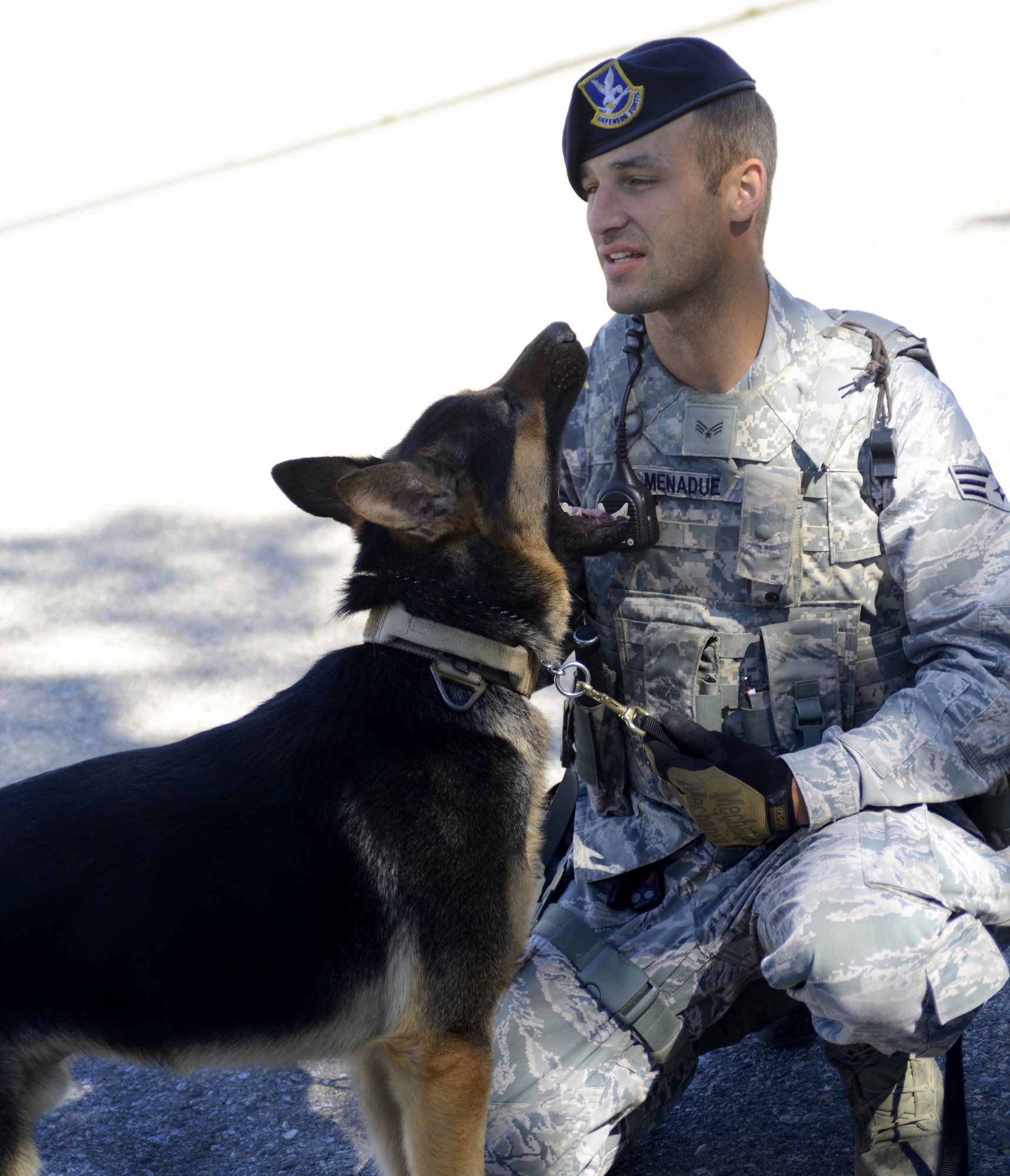 Senior Airman Scott Menadue, 366th Security Force Squadron military working dog handler, and MWD Alf take a break in the shade during the safety fair June 6, 2014, at Mountain Home Air Force Base, Idaho. Menadue and MWD Alf spent time at the event in an effort to explain the significance and unique safety concerns when working around a MWD. (U.S. Air Force photo by Senior Airman Benjamin Sutton/Released)