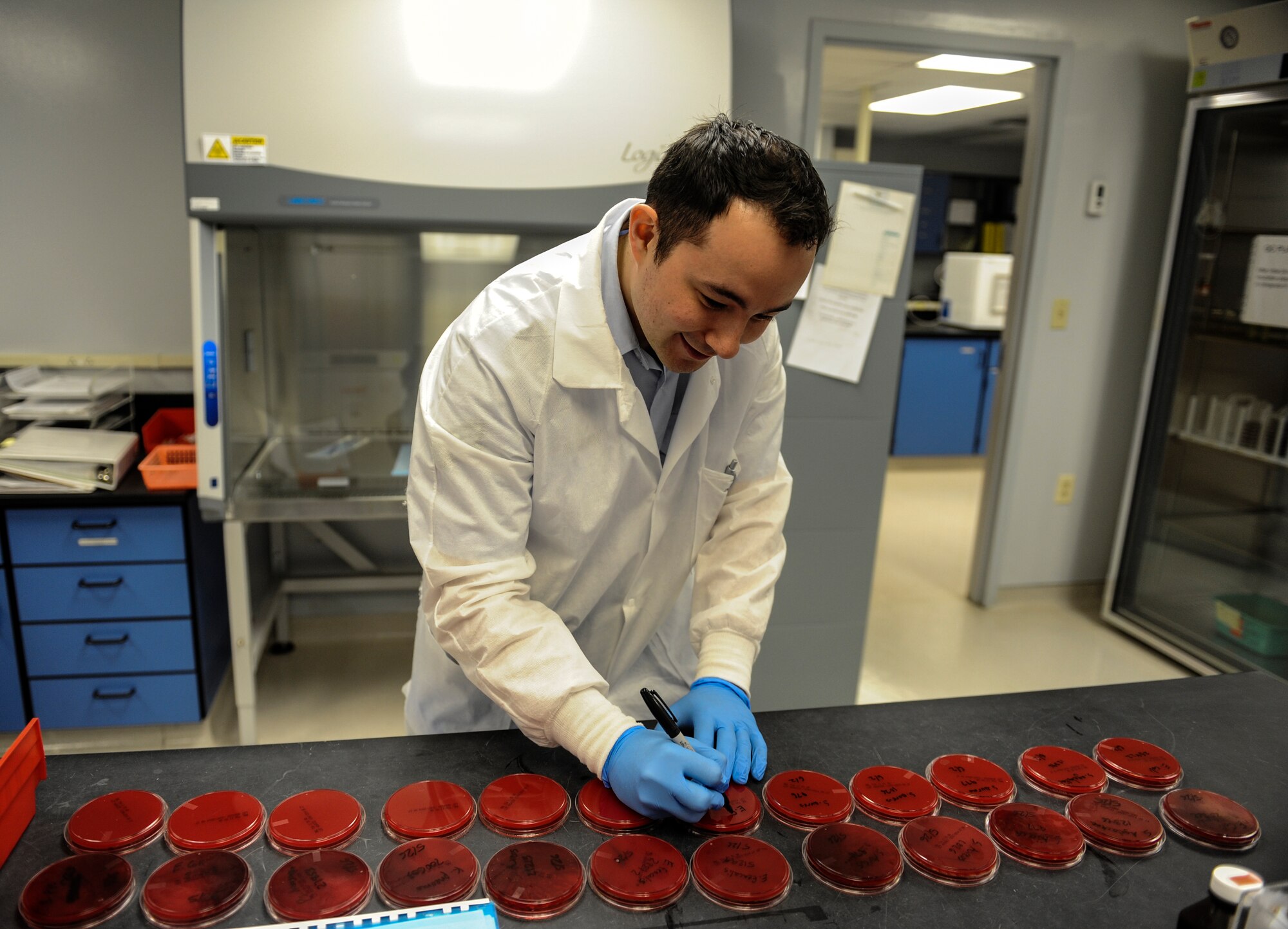 Senior Airman Noah Chu, a 19th Medical Support Squadron medical lab technician, streaks isolates for growth of micro-organisms June 2, 2014, at Little Rock Air Force Base, Ark. The process consists of at least 20 variations of micro-organism swabs each day. (U.S. Air Force photo by Staff Sgt. Jessica Condit)