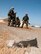 California Air National Guardsmen from the 129th Rescue Wing participate in War Skills Training at Moffett Federal Airfield, Calif., June 7, 2014.  The hands-on training provides airmen the opportunity to react to various Air Expeditionary Force and emergent mission tasking scenarios, including cover and concealment, and self-aid and buddy care. (U.S. Air National Guard photo by Senior Airman Rachael Kane/Released)