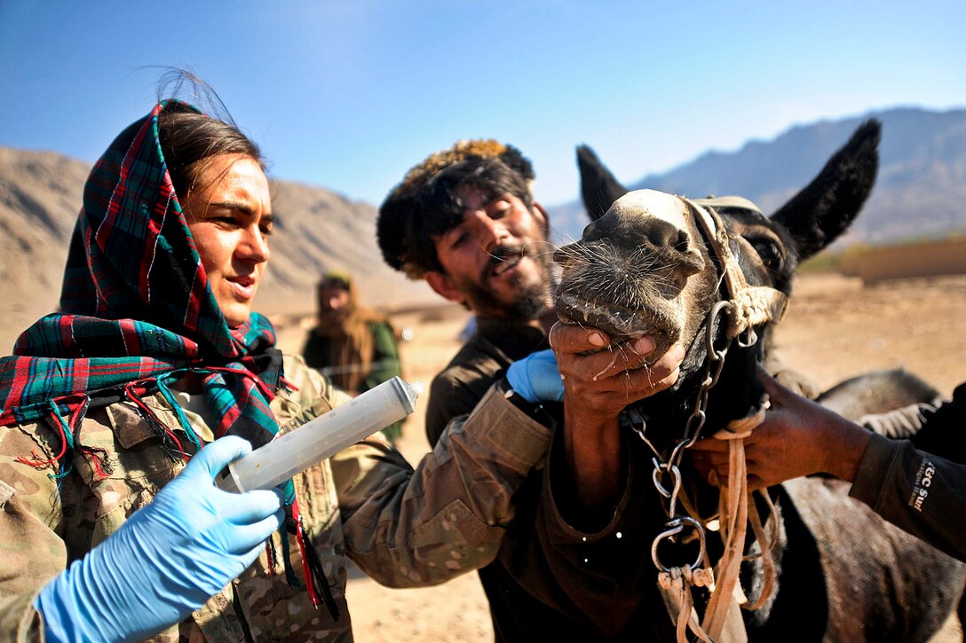 A veterinarian prepares medicine for sick animals during an assistance project in the Gizab district in Afghanistan's Uruzgan province, Nov. 30, 2011. The veterinarian is attached to Combined Joint Special Operations Task Force Afghanistan.  

