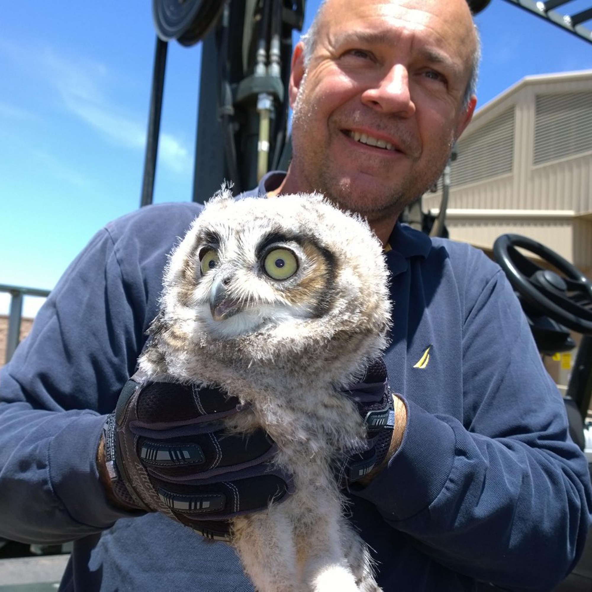Mr. John Harris, 309th Aerospace Maintenance and Regeneration Group aircraft electrician, takes a photo with a great horned owl chick he helped rescue at Davis-Monthan Air Force Base, Ariz. The great horned owl family may be seen daily performing touch and go flight exercises together from the wings of a C-130. (Courtesy Photo)