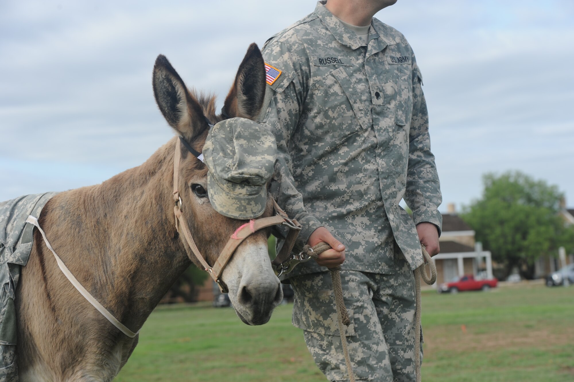 SAN ANGELO, Texas  - Army Spc. Douglass, 344th Military Intelligence Battalion mascot, follows Goodfellow Air Force Base Soldiers during the 344th MI BN Change of Command ceremony at Fort Concho June 9. Douglas appears as the mascot for the 344th MI BN Change of Command and the Goodfellow Army versus Navy football game. (U.S. Air Force photo/ Staff Sgt. Laura R. McFarlane)