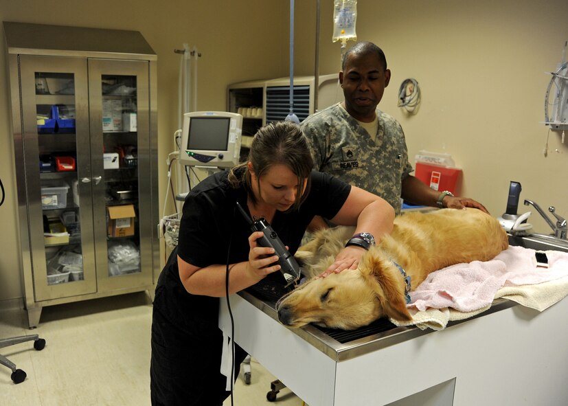INCIRLIK AIR BASE, Turkey -- Jena Miller (left) Incirlik Veterinary Treatment Facility veterinarian technician, and U.S. Army Staff Sgt. Lawrence Reaves, VTF animal care noncommissioned officer, examine a members pet before providing treatment. Prior to departure for a permanent change of station, pet owners must have the required pet health certificates needed for their new destination. (U.S. Air Force photo by Staff Sgt. Veronica Pierce/Released)