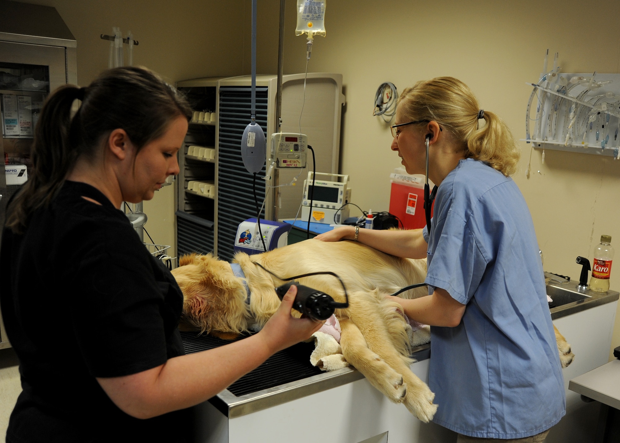 INCIRLIK AIR BASE, Turkey -- Jena Miller (left) Incirlik Veterinary Treatment Facility veterinarian technician, and U.S. Army Capt. Hayley Ashbaugh, Incirlik Branch Veterinary Services chief, examine a members pet before providing treatment. Prior to moving for a permanent change of station, members must plan in advance to ensure pets have necessary documentation before traveling. (U.S. Air Force photo by Staff Sgt. Veronica Pierce/Released)