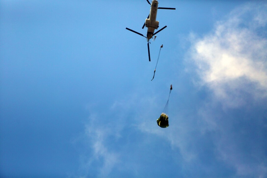 Marines with 1st Air Delivery platoon conducted static line jumped out of a CH-46 Sea Knight aboard Camp Pendleton, Calif., June 5, 2014. The Marines conducted two day jumps and two night jumps at around 1,500 feet.  Three Marines jumped with full combat gear in order to complete the requirements for their gold wings.