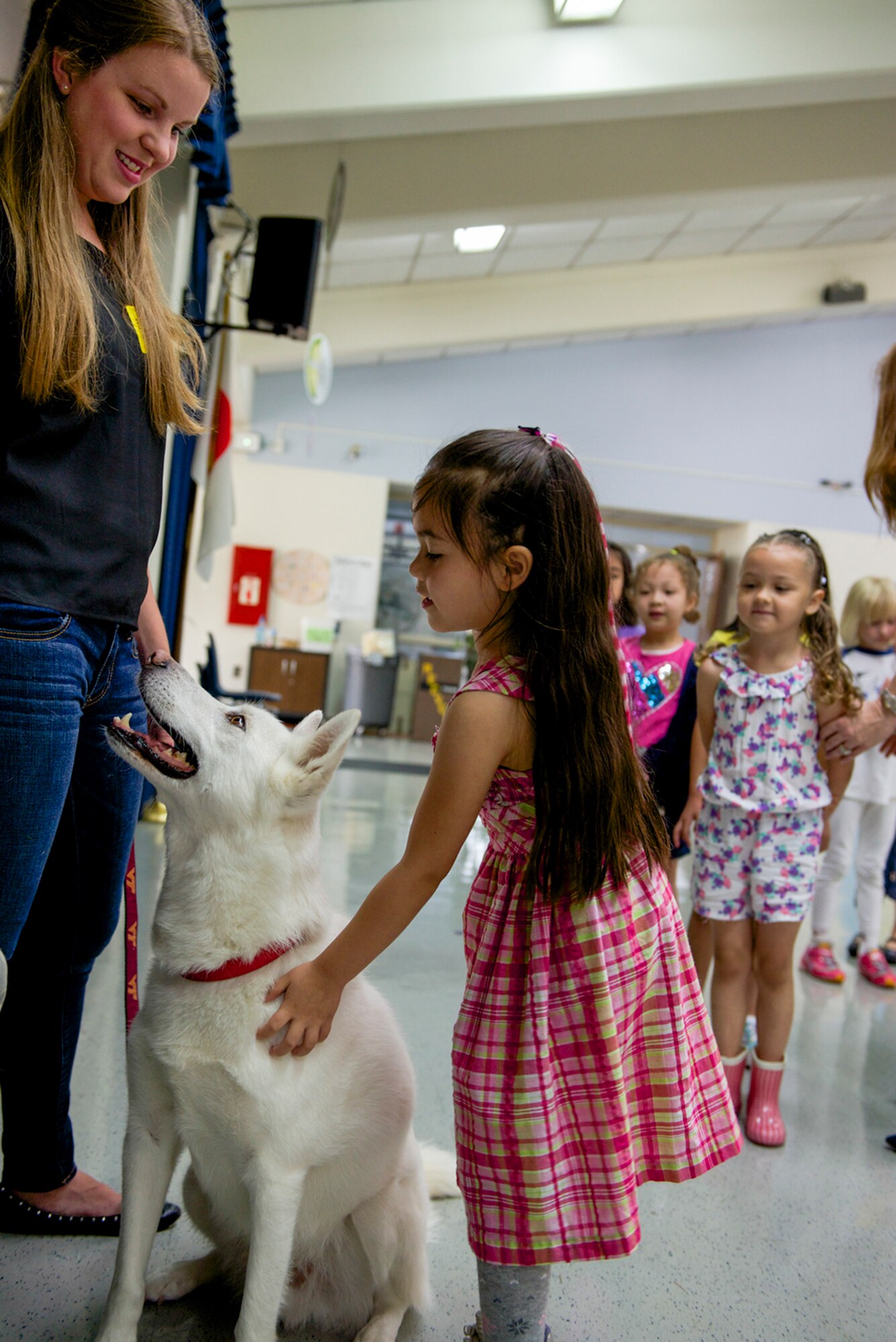 Students at Yokota West Elementary school line up to pet Jake the dog at Yokota Air Base, Japan, June 12, 2014. The class followed three steps to dog bite prevention: ask the owner for permission, allow the dog to smell your hand and rub the chin or shoulders to avoid frightening the animal. (U.S. Air Force photo by Airman 1st Class David Danford/Released)
