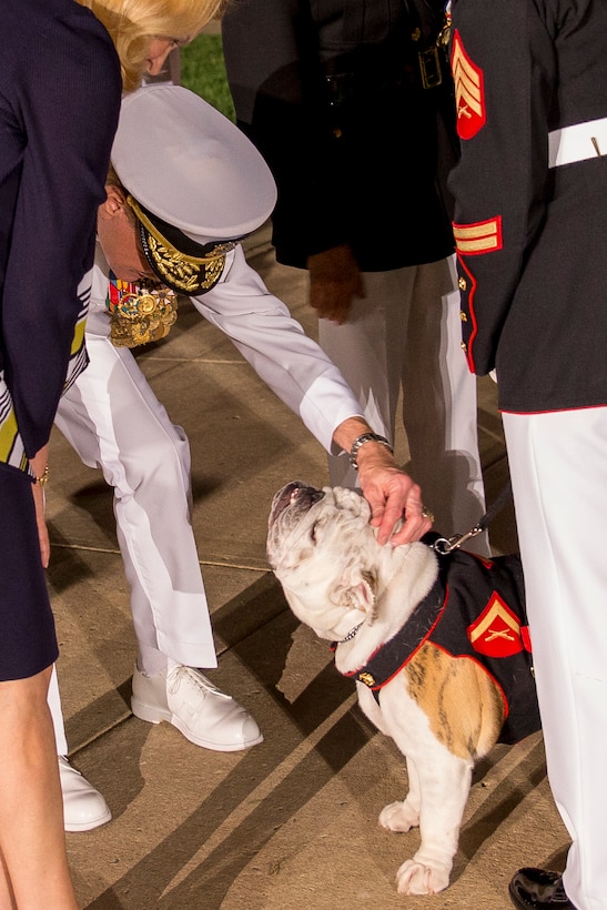 Vice Adm. Michael Miller, superintendent of the U.S. Naval Academy, greets Lance Cpl. Chesty XIV, Marine Corps mascot, after a Friday Evening Parade at Marine Barracks Washington, D.C., June 13, 2014. (Official Marine Corps photo by Cpl. Dan Hosack/Released)